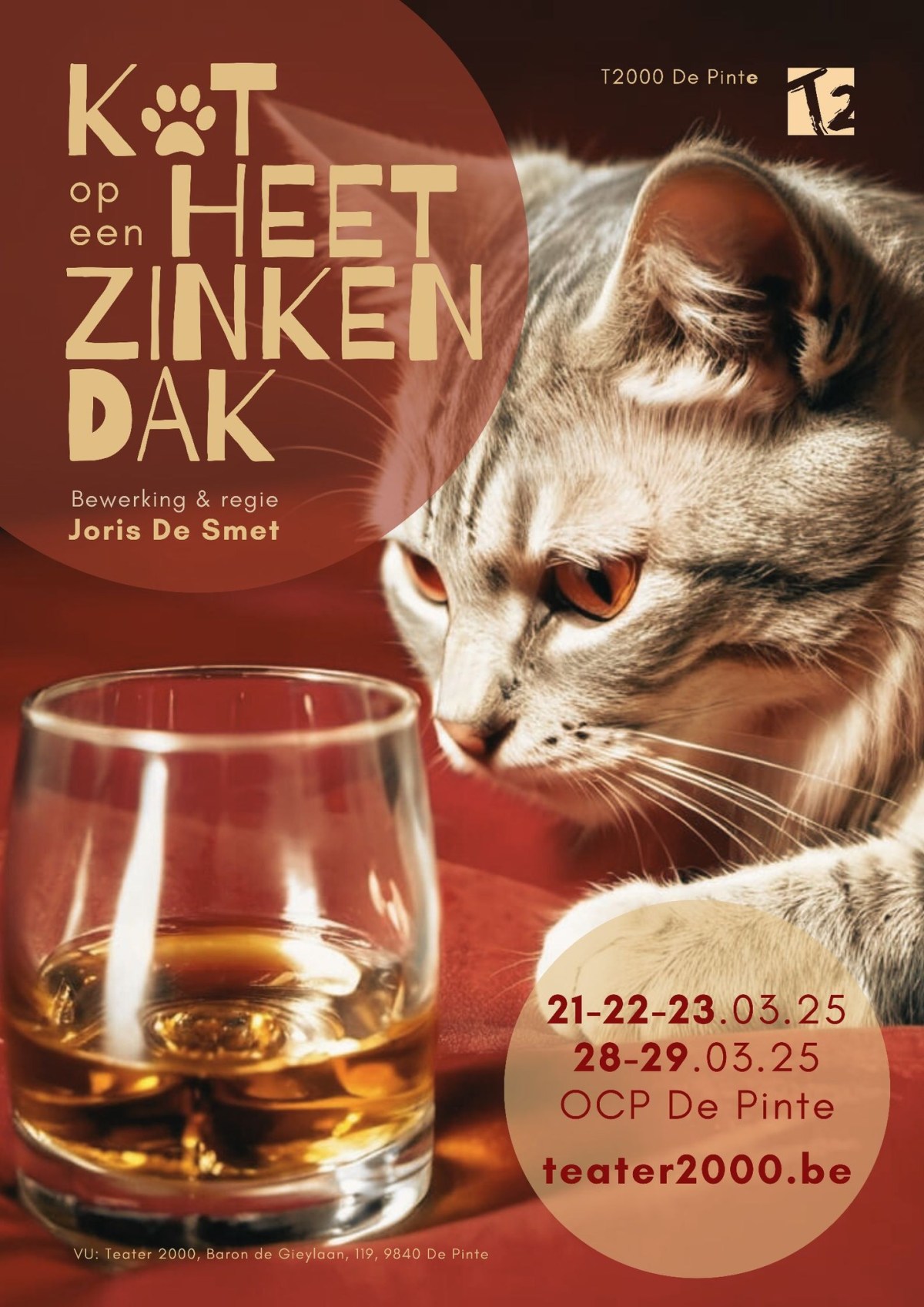 Kat op een Heet Zinken&nbsp;Dak